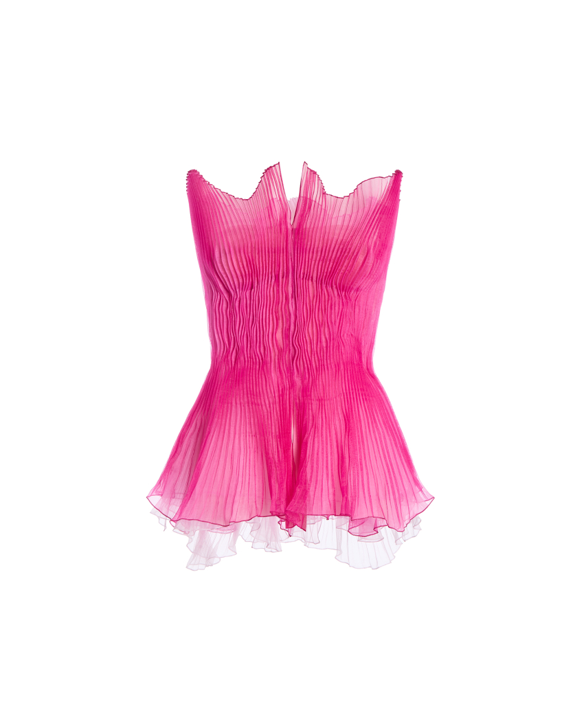 Short Pleated Organza Dress