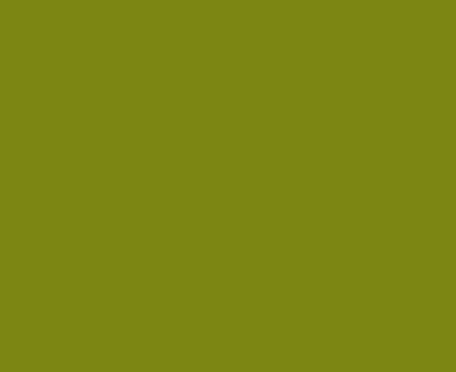 Borsa mini verde in pelle scamosciata con ricamo in rilievo