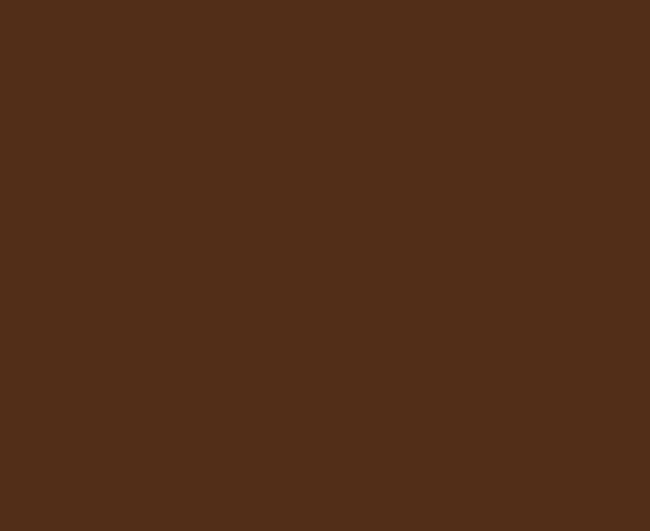 Turtleneck brown animalier silk top